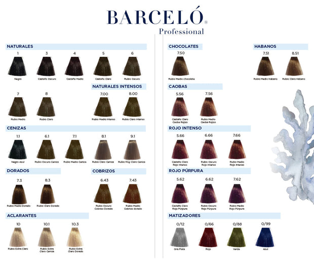 TINTE EUROPEO BARCELO PROFESSIONAL