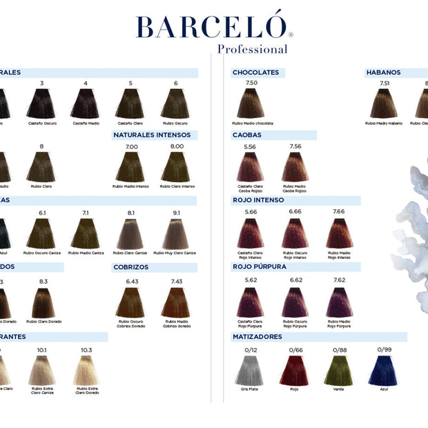 TINTE EUROPEO BARCELO PROFESSIONAL