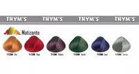 MINI MATIZANTE THYMS  COLORING