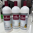 KIT  ALISADOR CAPILAR X3