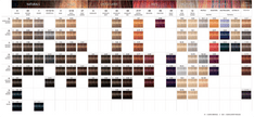 TINTE IGORA ROYAL SCHWARZKOPF PROFESSIONAL