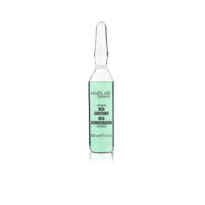 Ampolla mega acondicionadora intensiva anti frizz y acondicionadora salerm